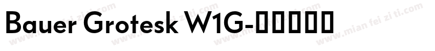 Bauer Grotesk W1G字体转换